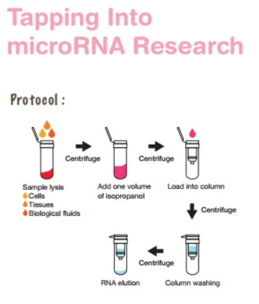 RNA isolation kit, Aufreiniung von RNA