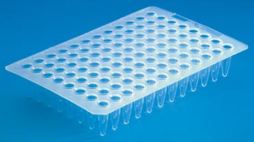 PCR Platte mit 96 Reaktionsgefäßen