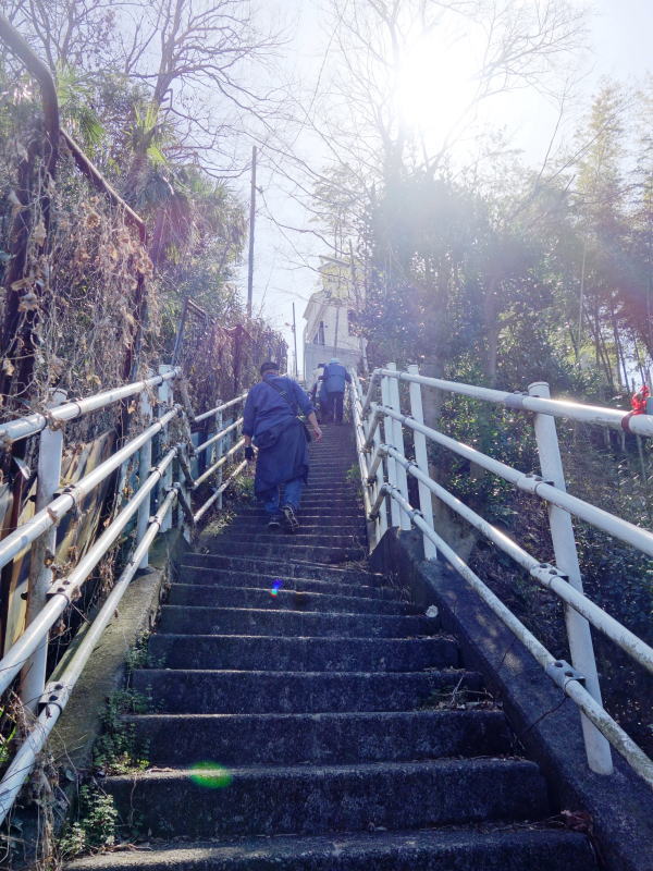 綱島市民の森に行くにはこの階段を突破