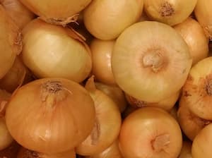Cebollas