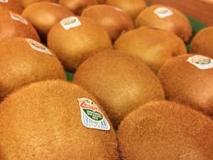 Kiwi