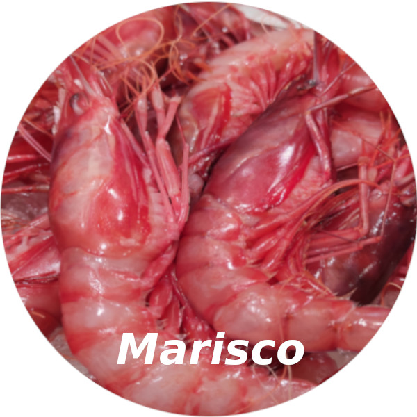 Marisco