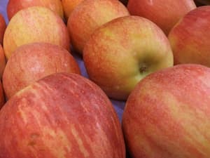 Manzana