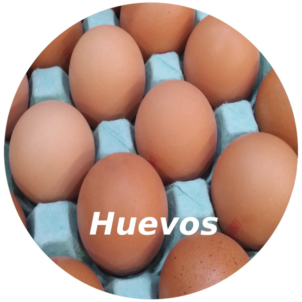 Huevos Ecológicos
