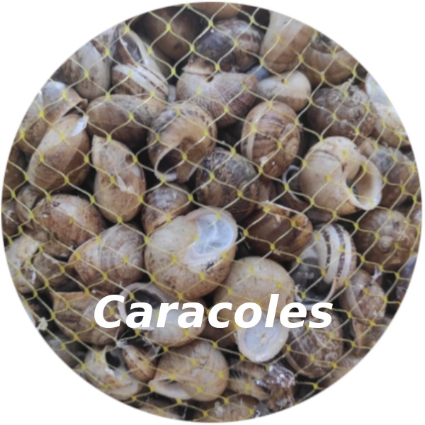 Caracoles