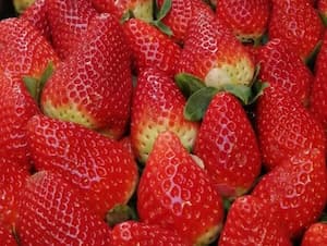 Fresas