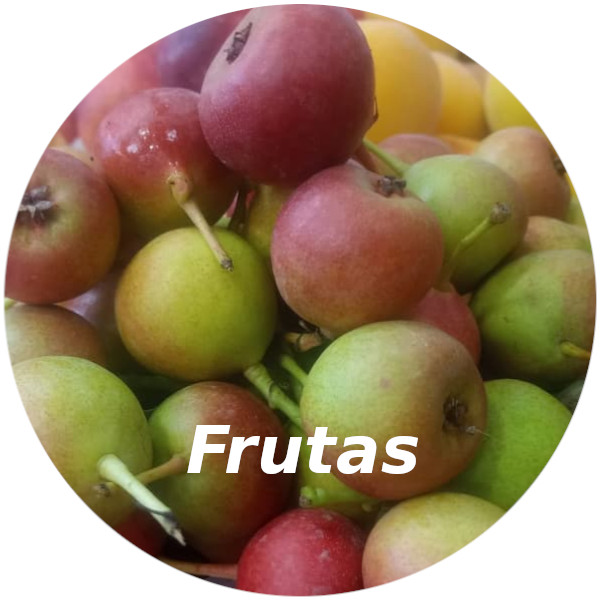 Frutas