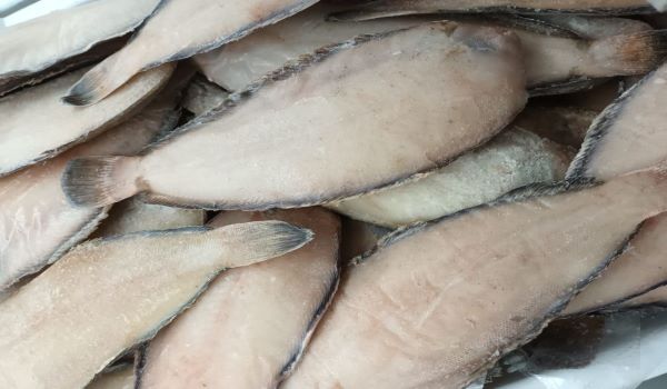 <b>RB. Congelados</b><br>Lenguado