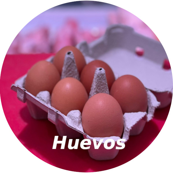 Huevos