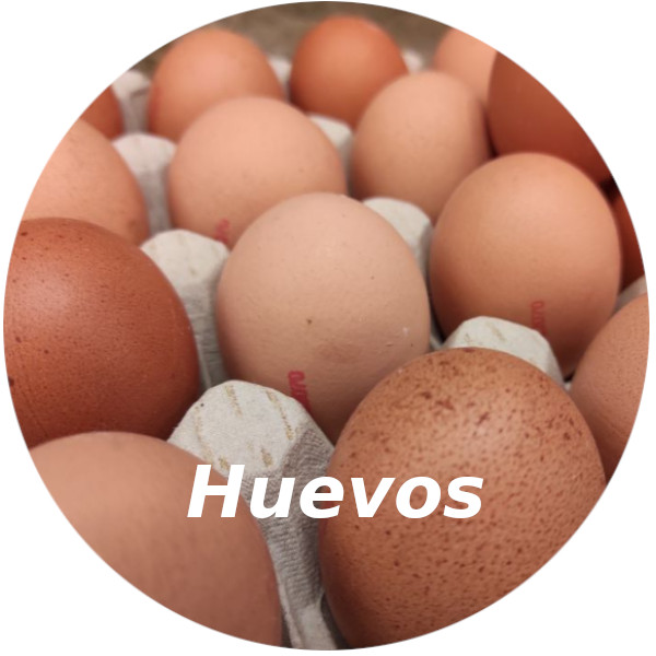 Huevos