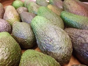 Aguacates