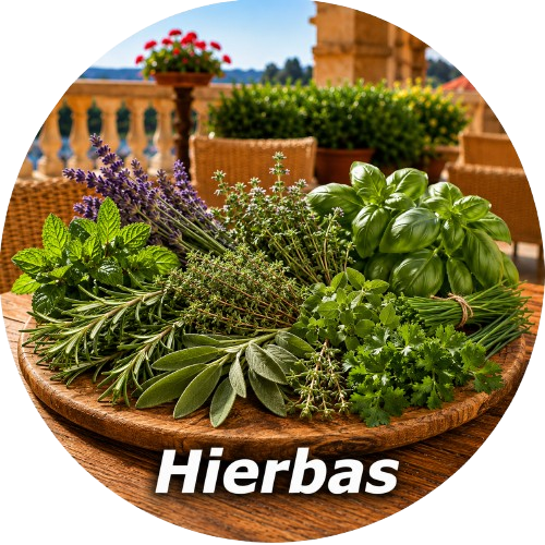 Hierbas La Frutería Castellón