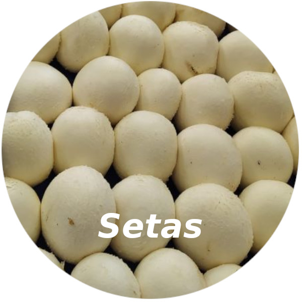 Setas