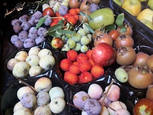 Fruta de Otoño