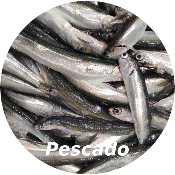 Pescado