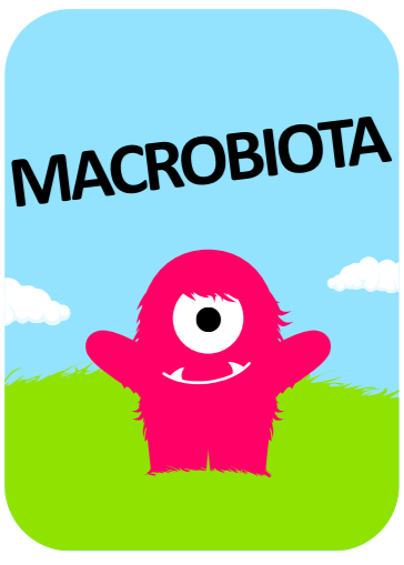 MACROBIOTA