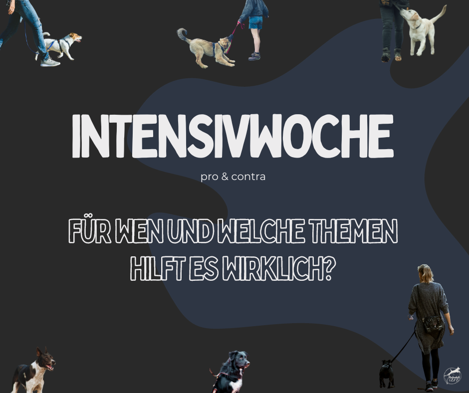 Wann ist eine Intensivwoche hilfreich?