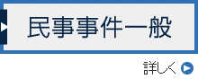 民事事件一般