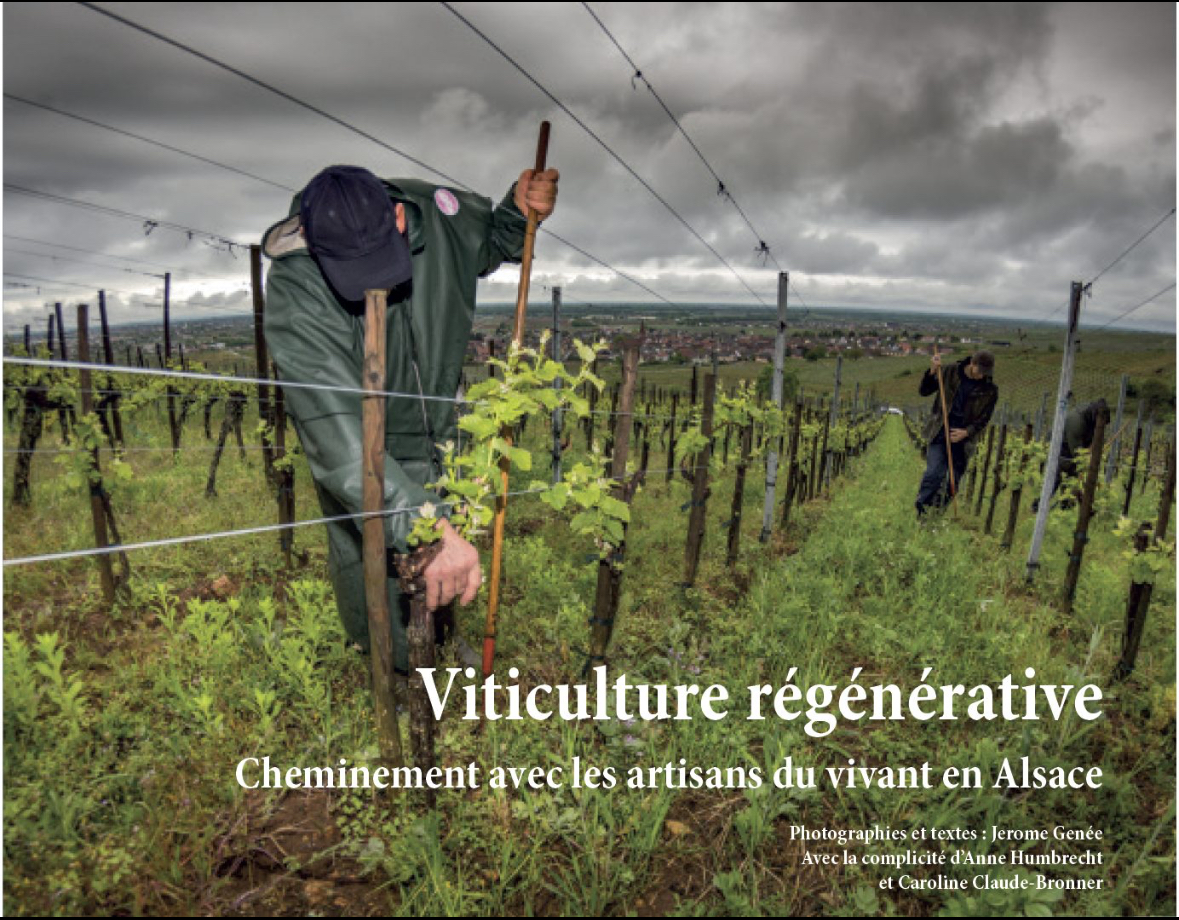 Viticulture régénérative – Cheminement avec les artisans du vivant en Alsace. Un ouvrage de 380 pages, réunissant 129 portraits de vigneronnes et vignerons, du nord au sud de la route des vins, entre Strasbourg et Mulhouse.