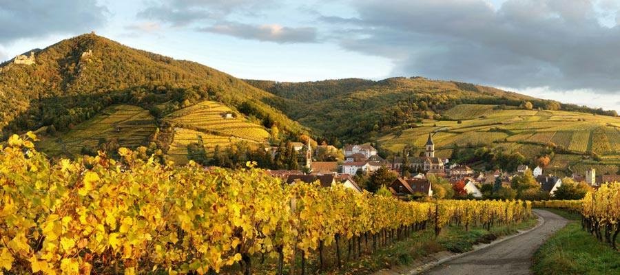 Ribeauvillé - 3 Chateaux, 3 Grands Crus avec Caroline CLAUDE-BRONNER, votre guide-conférencière en Alsace : Terroirs, Vignes et Vins, Histoire et Arts www.cheminsbioenalasace.fr