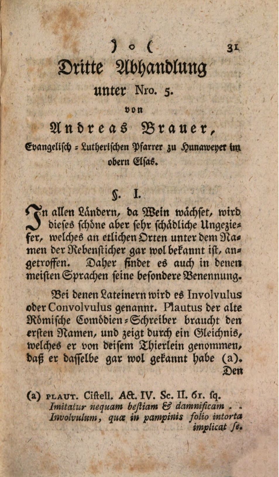 En 1767, le pasteur André Bauer de Hunawihr publie une communication qui sera publiée à Mannheim "Von den Rebenstichern lien : https://www.digitale-sammlungen.de/view/bsb10300445?page=43