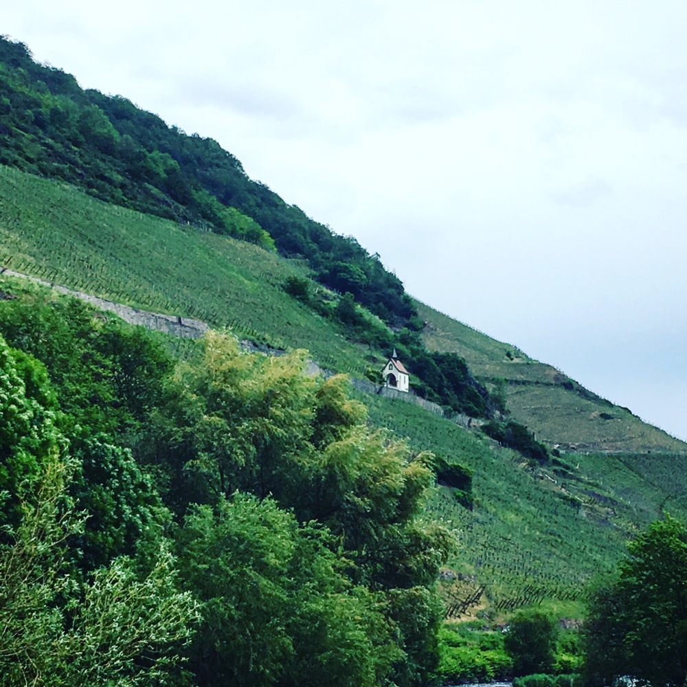 Parcourir un grand terroir : Le Rangen de Thann "Au fond du verre, je veux retrouver le paysage du lieu où je suis" Jacques Puisais