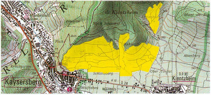 Le Grand Cru Schlossberg est implanté sur les communes de Kaysersberg et de Kientzheim