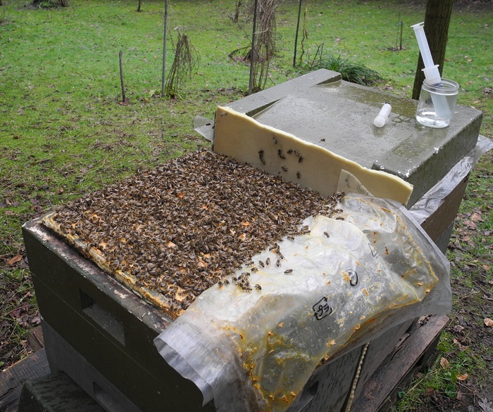 November/ Dezember - Bienenzuchtverein Merkstein
