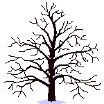 rayonnement d'un arbre