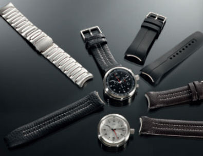 Mitschele Innovative Watchband Change System