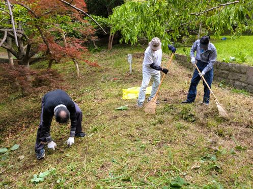 日吉公園　草刈り活動　小学校入学記念樹周辺
