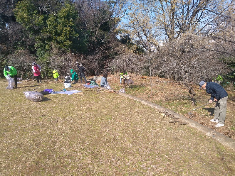 日吉公園　草刈り・剪定