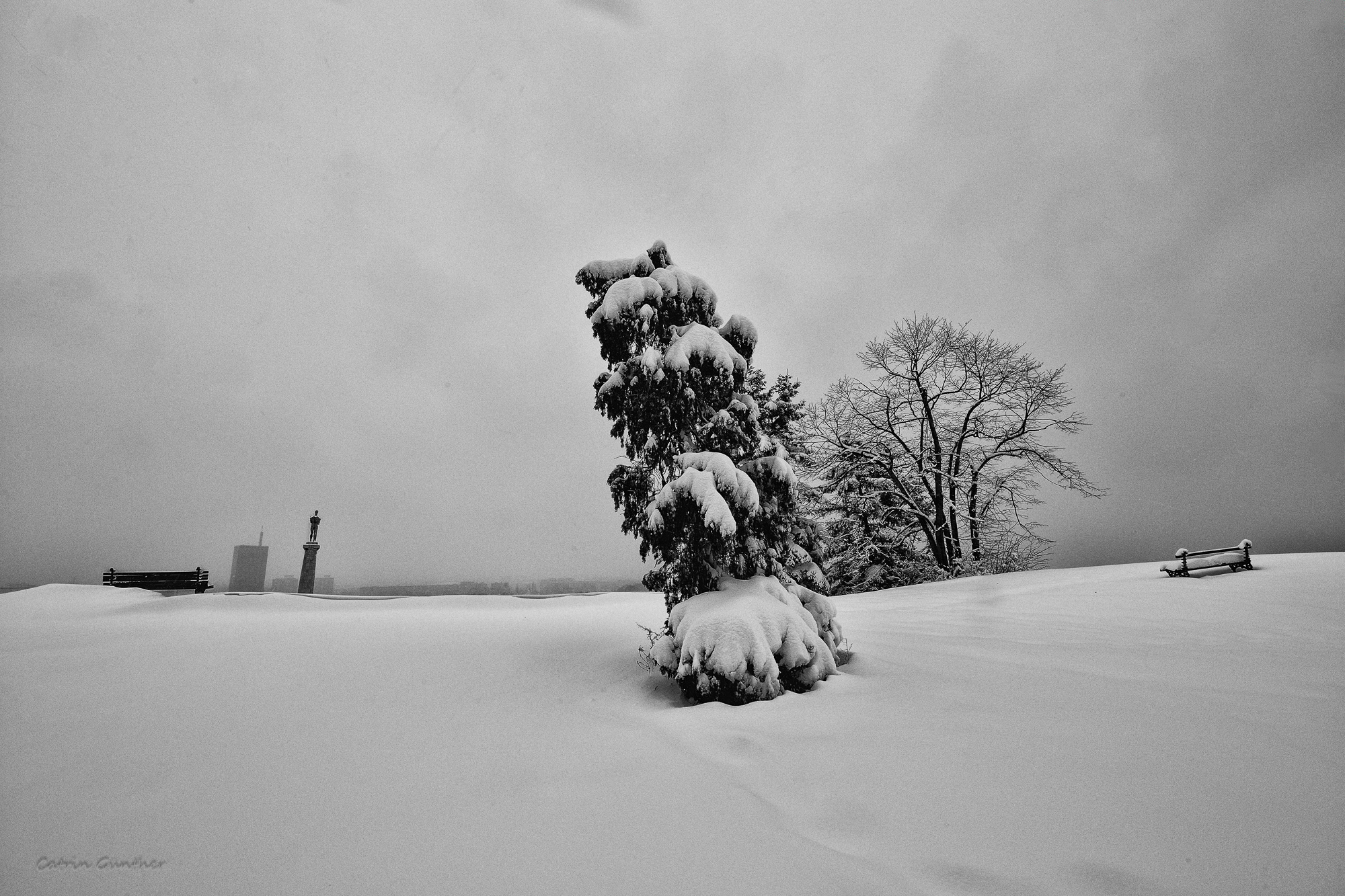 snowy morning in Kalemegdan 