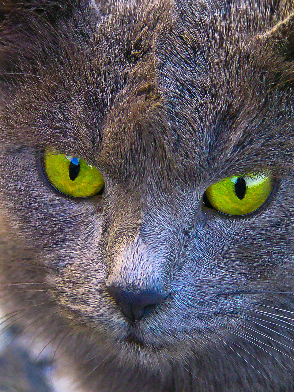 green eyes