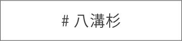 八溝杉