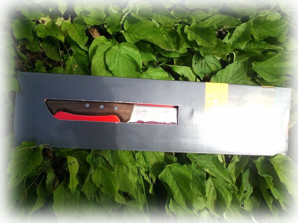 Panorama Knife Steffi testet Produkte