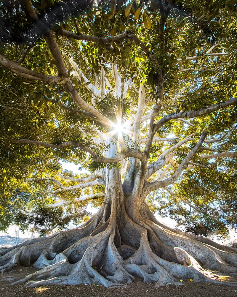 Feinstoffliche Zugänge