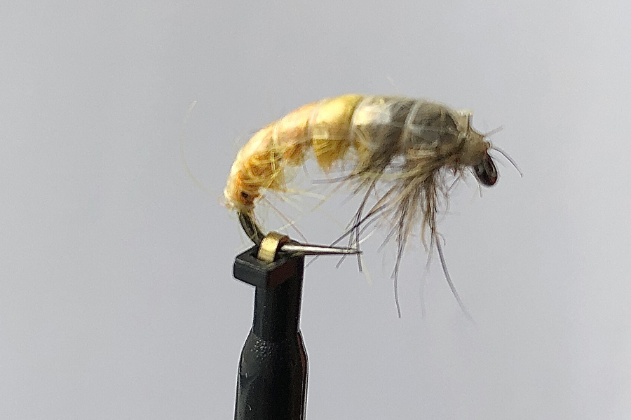 12 fängige Fliegenmuster / Beispielfotos