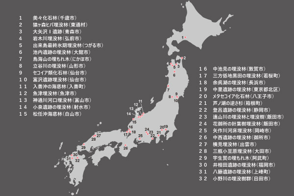 さんべ縄文の森ミュージアムHPより