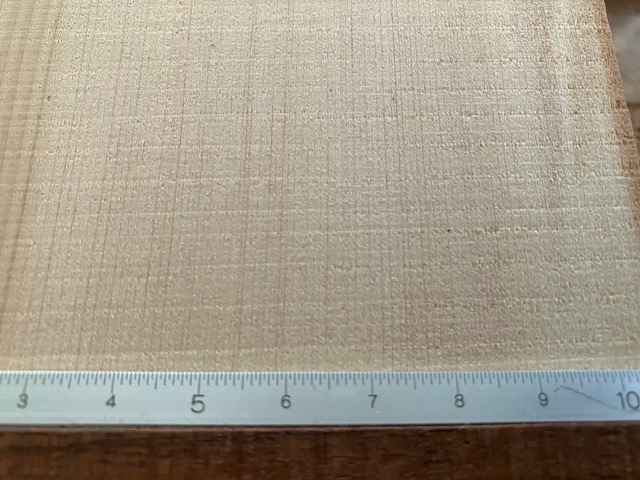 幼時は成長が遅い模様