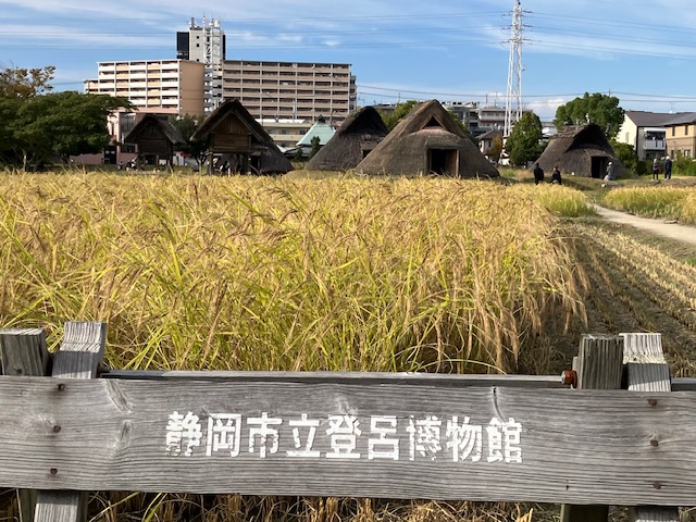 現代空間に潜む弥生