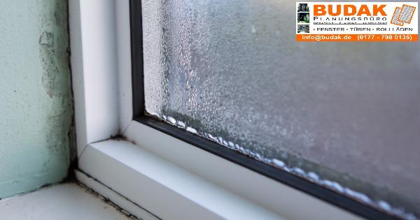 Richtig Luften Damit Schimmel Gar Nicht Erst Entsteht Budak