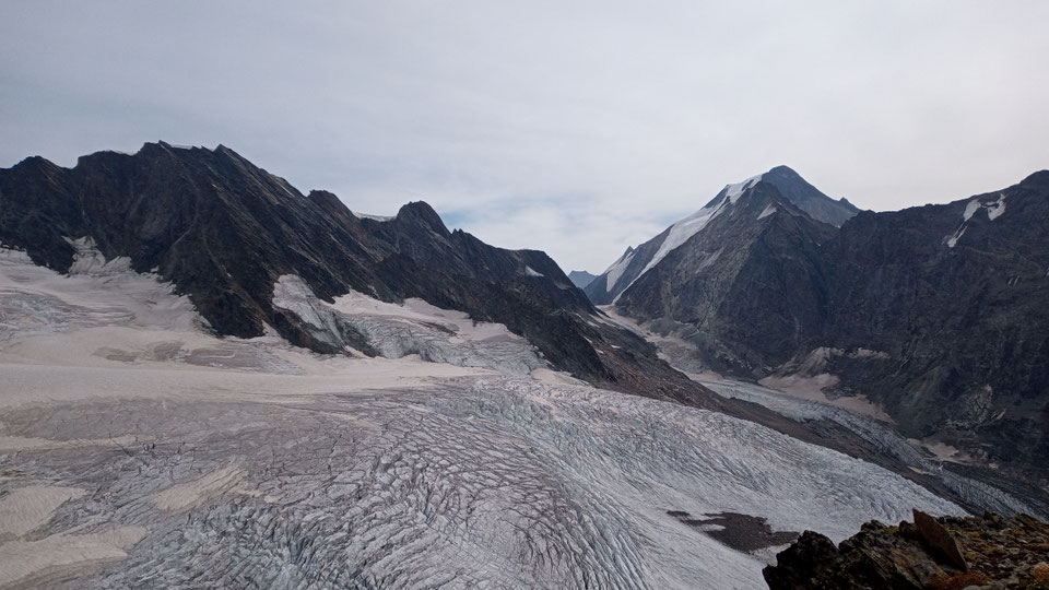 Ausblick vom Jegichnubl zum Aletschhorn