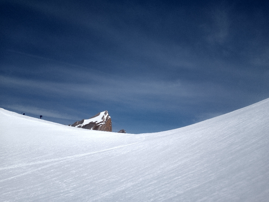 Restirothorn