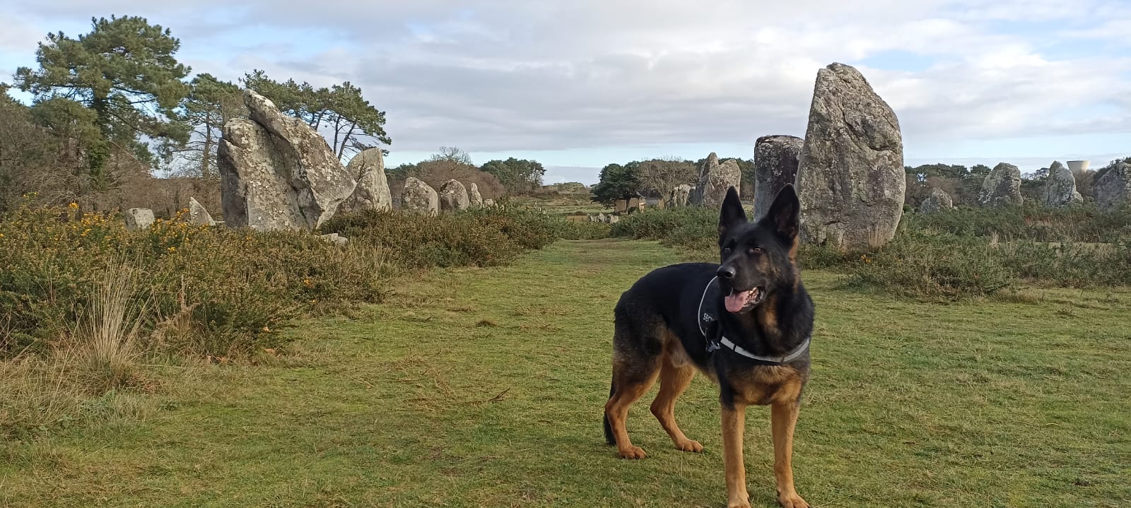 CARNAC