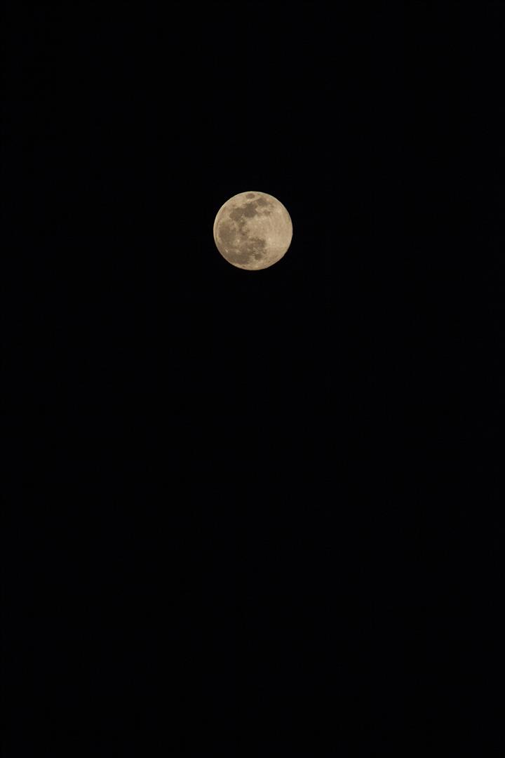 07 Aprile 2020
