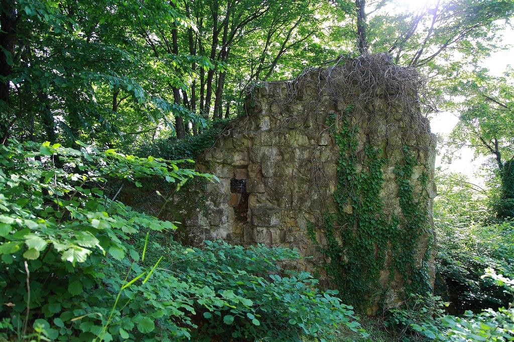 Ruderi del "Castellaccio di Vico"