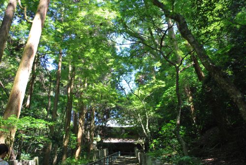 福岡県みやま市清水寺3（九州工場）