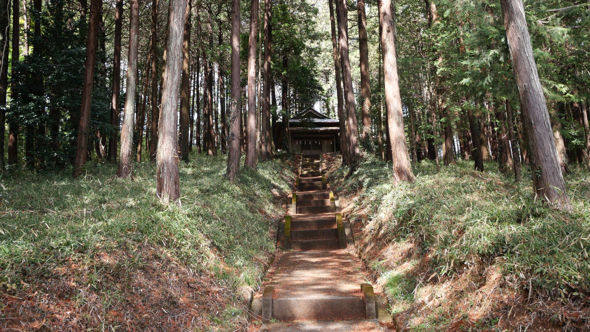 枝垂れ桜を超えて小倉城址のある小山を途中まで登ると、田黒日枝神社があります