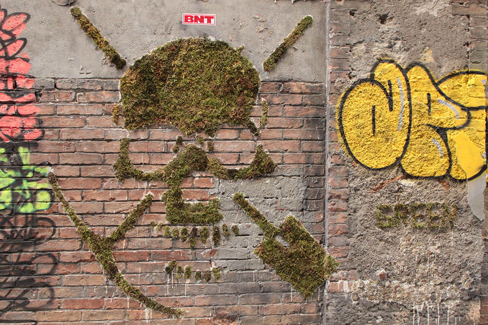 moss-street-art-ecolo-graffiti-mousse-tag.jpg